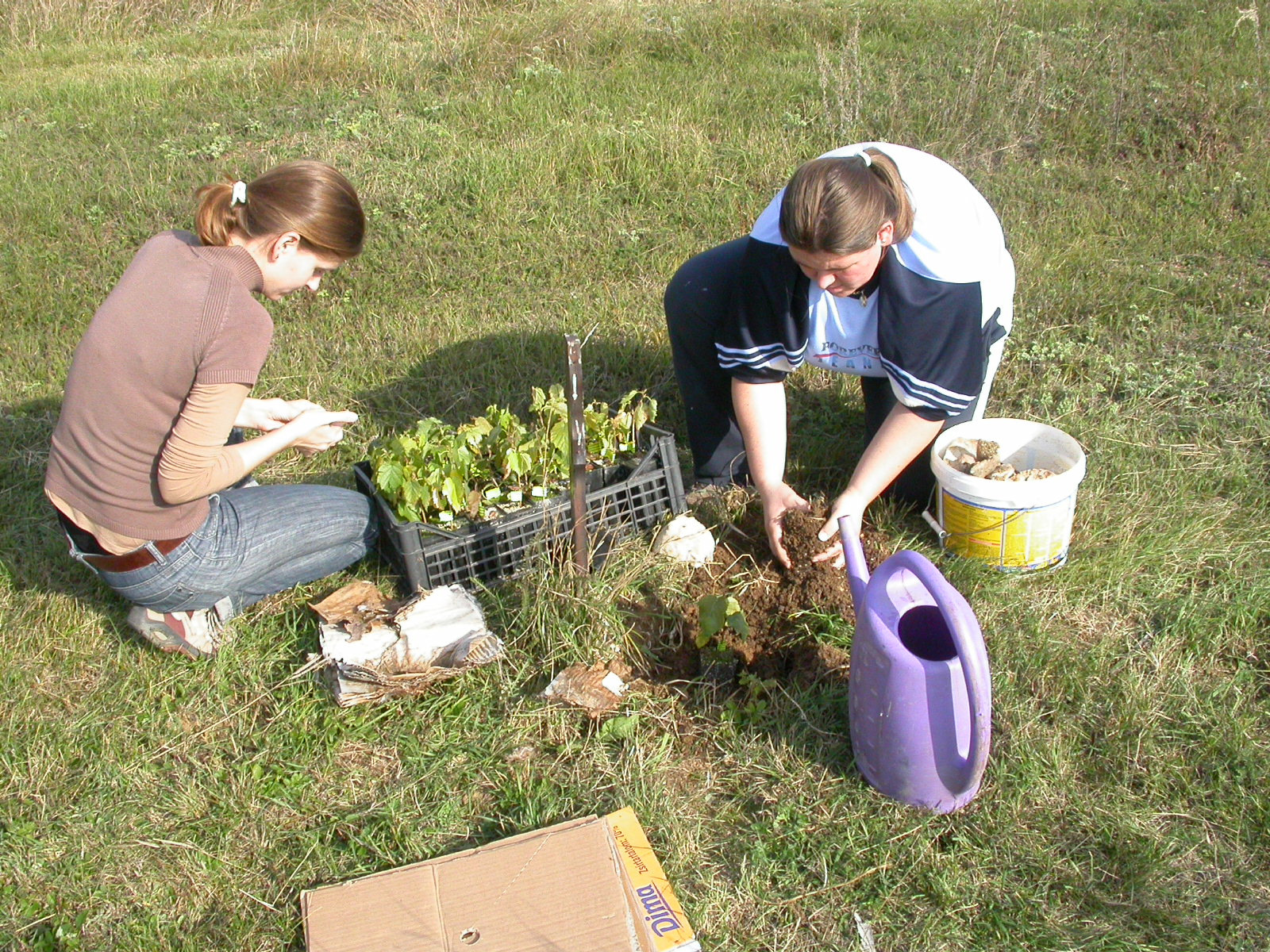 Projektindítás: 2006. évben innovációs szerzıdést kötöttünk a VERGA (Veszprémi Erdıgazdaság) Zrt.