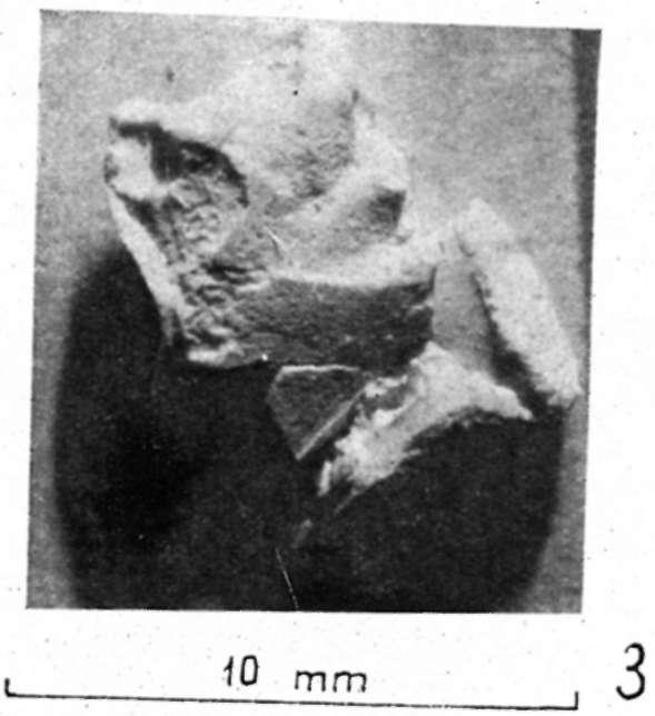 III.