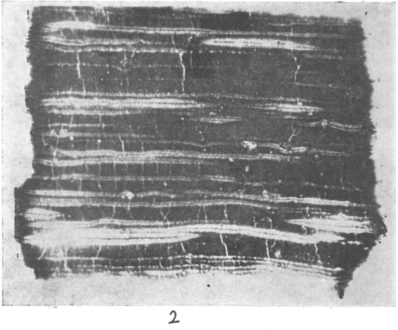 kötet, 4.