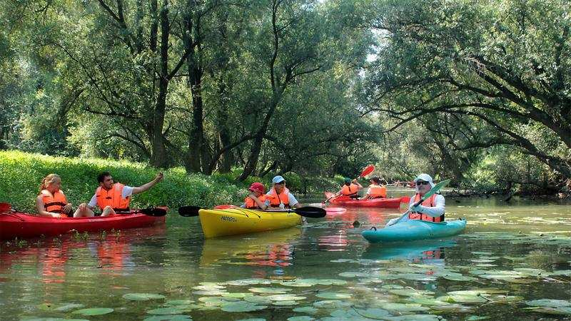Gólyák nyomában Béda-Karapancsán A Duna-Dráva Nemzeti Park Béda-Karapancsa Tájegysége a Duna magyarországi alsó szakaszának kiemelkedı értékét képviselı élıhelyeit foglalja magába.