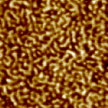 5 ábra: Egy kölcsönösen folytonos morfológiával rendelkezı PHEMA-l-PIB AKTH AFM felvétele [180] Az amfifil kotérhálók felületi tulajdonságait dinamikus kontaktszög méréssel vizsgálva igen nagy