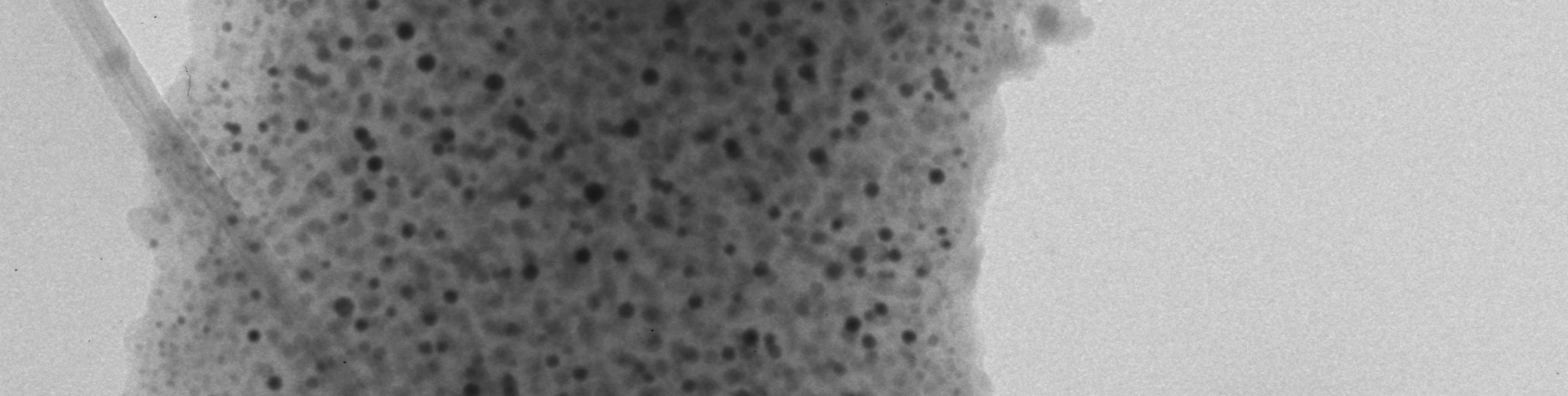 A nanorészecske kvalitatív elemzésébıl kiolvasható, hogy a kotérhálóban a nanorészecskék fıbb komponense a réz, de fellelhetı a só