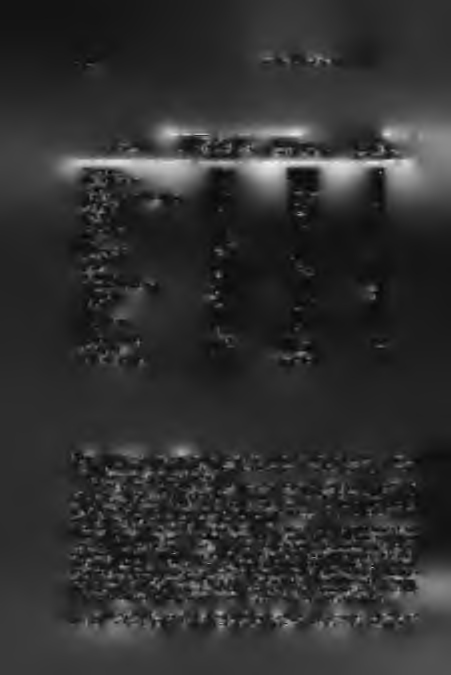 532 K Ö Z L E M É N Y E K T e r ü l e t (1) 1973 é s 1974 é v b e n f e l v e z e t e t t e s z k ö z ö k s z á m a (2) 17 49 é v e s női n é p e s s é g (3) 100 17 49 é v e s n ő r e j u t (4)
