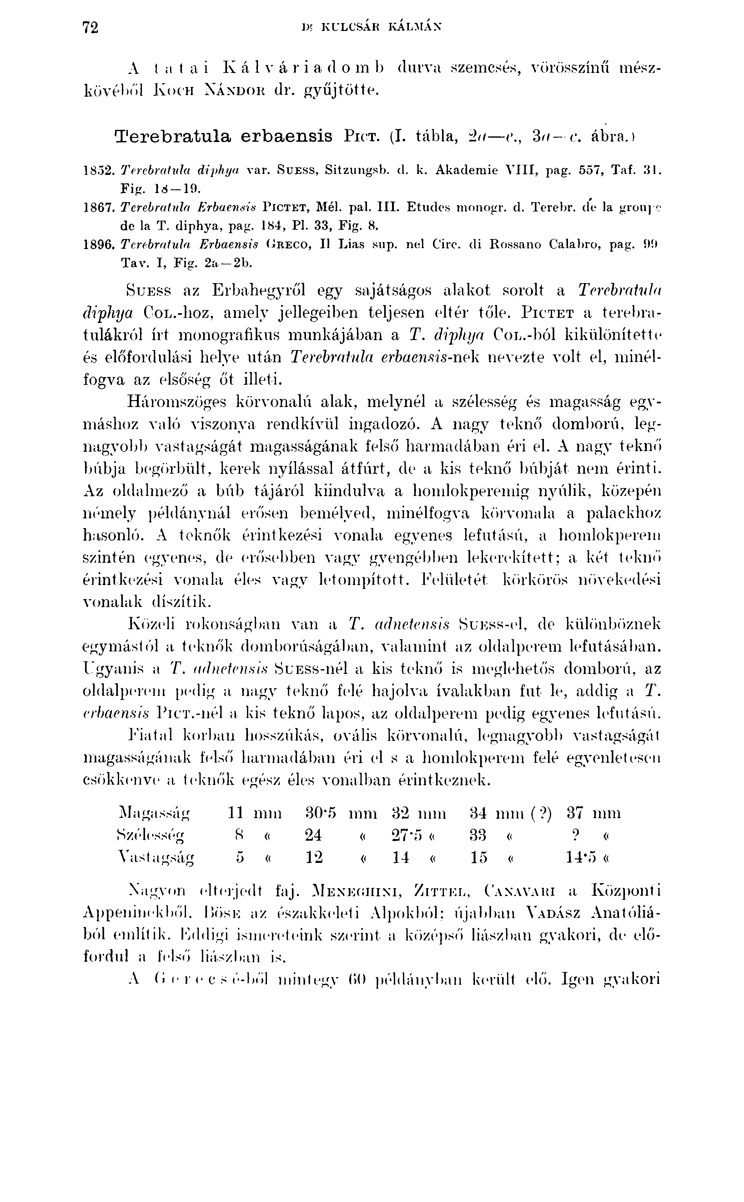 72 ])! KULCSÁR KÁLMÁN A tatai K á 1 v á r i a d o m b durva szemcsés, vörösszínű mészköveitől K o c h N á n d o r dr. gyűjtötte. Terebratula erbaensis Pict. (I. tábla, 2<i <\, 3a c. ábra.) 1852.