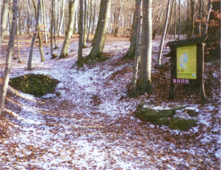 éger (Alnus glutinosa) található (Kiss G. 2007). A Zagyva völgy a Duna és a Tisza vízválasztó vonala. A Medves vidék peremén 48 o 08 10,98 É és 19 o 52 37,01 K földrajzi koordináták által határolt kb.