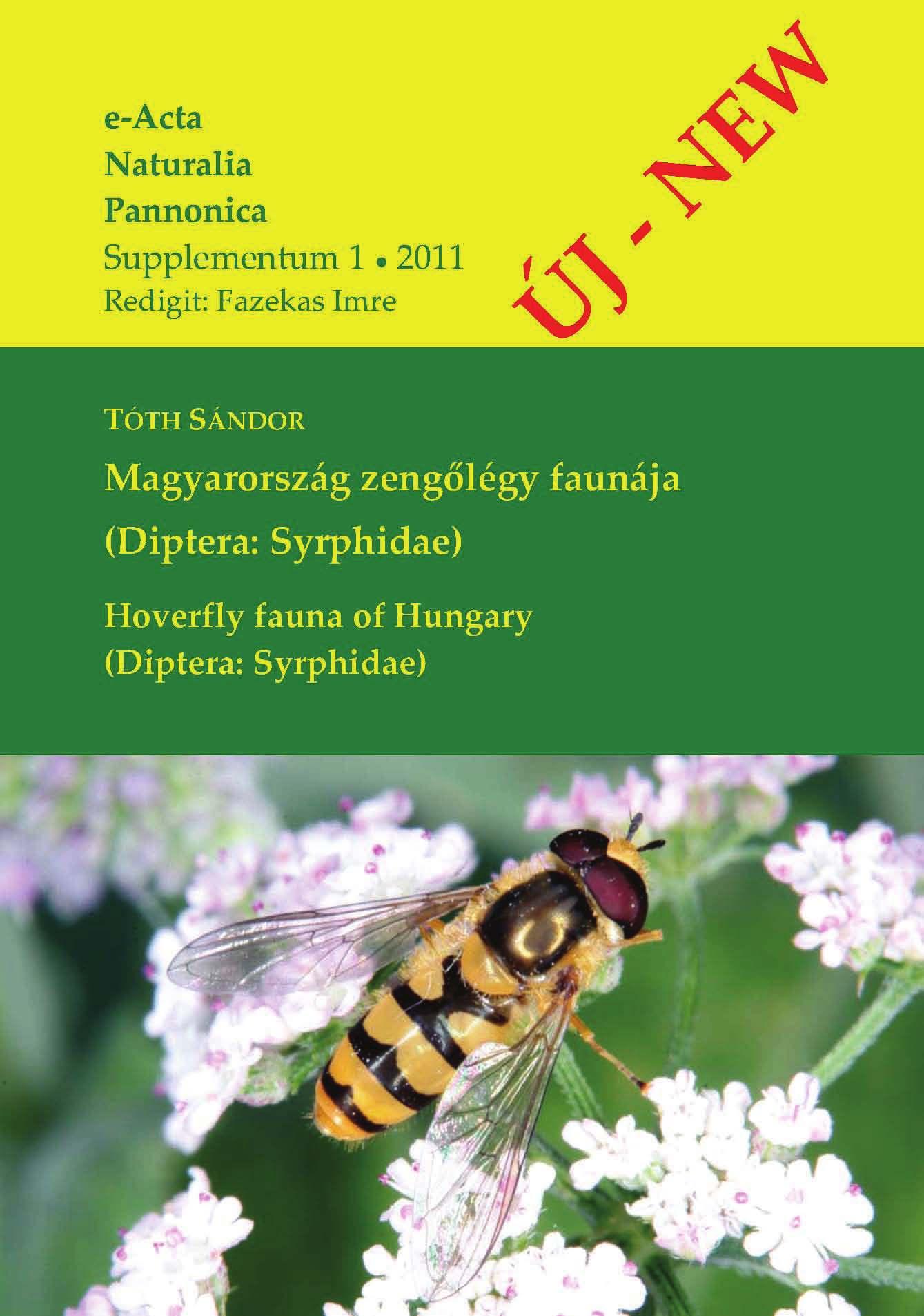 140 A jelen kötet szerzőjének figyelme az 1970 es évek elején fordult a Syrphidae kutatás felé.