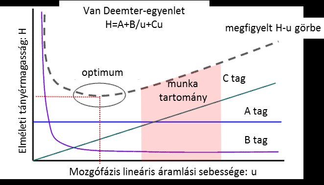 9. ábra. A hatékonyság és Van Deemter egyenlet egyes tagjainak kapcsolata Magyarosítani Jegyezzük meg, hogy a gyakorlati tartományban a C és az A tag dominál.