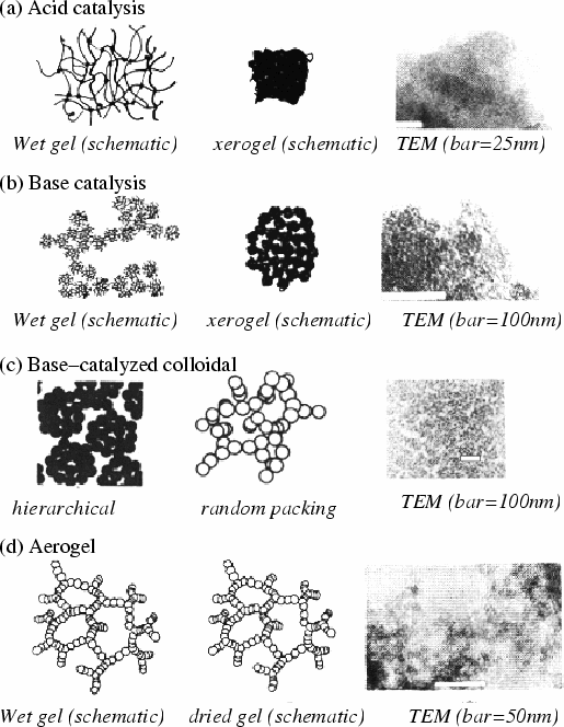 representative transmission electron micrographs.