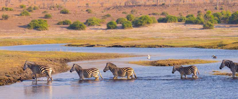 SZAFARI KÖRUTAZÁS BOTSWANA ÉS ZIMBABWE OKAVANGO-DELTA CHOBE NEMZETI PARK VIKTÓRIA-VÍZESÉS 1.