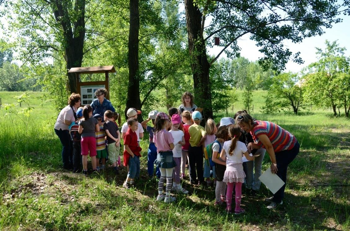 Zöld napokhoz kapcsolódó programok Föld Napja Madarak és Fák Napja