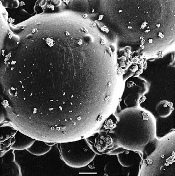 11 már pre-polymerizált MMA, melyet jól hűthető forralóedényekben készítenek és az így készített polymerek 1-125µm átmérőjű golyócskák, s jól oldódnak a monomer MMA-ban.