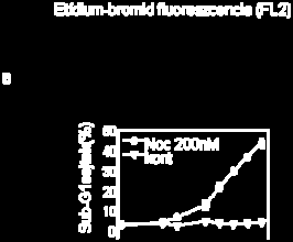 7. Eredmények 7.1. A mikrotubulusgátló nokodazol által kiváltott apoptózis befolyásolása proteaszómagátló-szerekkel 7.1.1. A nokodazol kezelés indukálta sejtciklusgátlás és az ezt követő apoptózis vizsgálat 4.