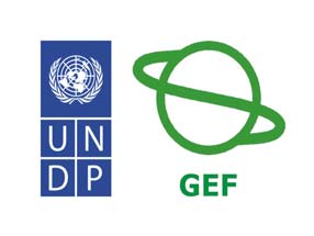A UNDP GEF Tisza projekt két fő eleme Komponens 1: Vízgyűjtő-gazdálkodási Terv A vízgyűjtő-gazdálkodási terv elkészítésének támogatása (Stratégiák készítése)
