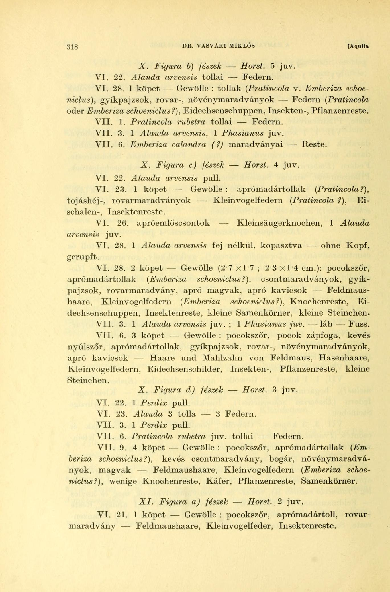 318 DR. VASVÁRI MIKLÓS [A quila X. Figura b) fészek Horst. 5 juv. VI. 22. Alauda arvensis tollai Federn. VI. 28. 1 köpet Gewölle : tollak (Pratincola v.