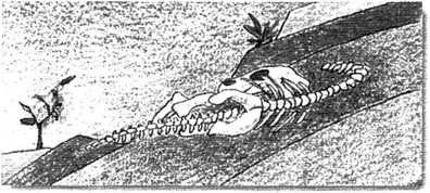 Hogy élt a tirannoszaurusz? Egy hatalmas állat volt, amely azon a tájon taposta a földet, amit ma Észak-Amerikának hívunk.