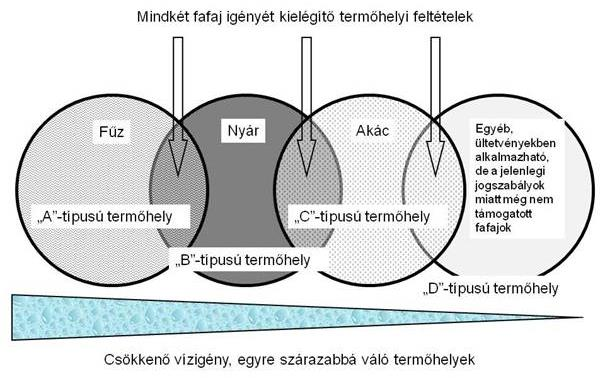10. ábra: Az egyes fafajok eltérő ökológiai igényei (Kovács et al.