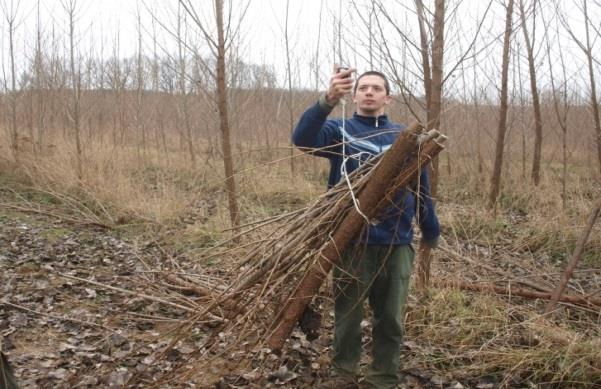 használtunk (20. ábra). A kivágott fákat két-, illetve három részre vágva egy méréssel mértük és 0,01 kg pontossággal rögzítettük.