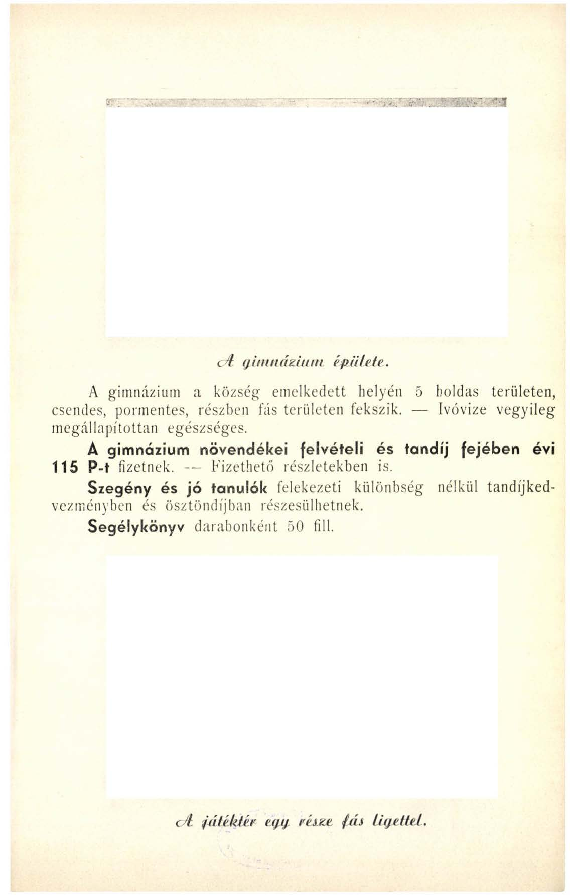 c í (juuttáziuin épü/efe.