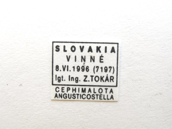 (Szlovákia): a) felülnézet, b) cédula. Fig. 1.