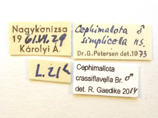 (Slovakia): a) recto, b) label. 3. ábra.