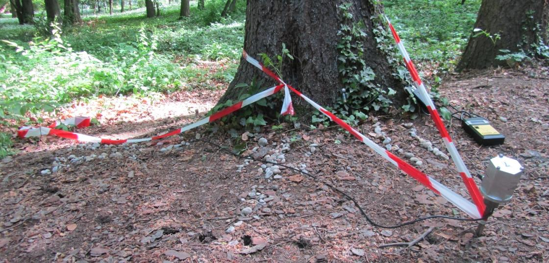 Maga a mérés a következőképpen történik. A fa törzsére, a talajhoz közel felhelyezünk egy jeladó tüskét. Ezt kalapáccsal megütve hang indul el a fában, a gyökerekben.