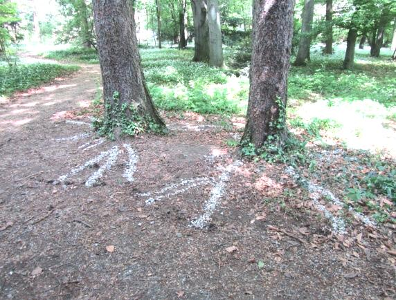 ábrán. Így kb. 0,5 méteres mélységig találhatjuk meg a gyökereket. (Divós 2009) 3.4.2. ábra: Gyökértérképező eszköz használatban A jeladóból indított jel és a detektálás között eltelt időt mérjük.