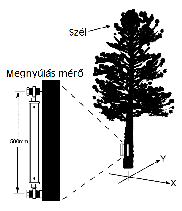 3.6.3. ábra: Egy fa két, egymásra merőlegesen elhelyezett megnyúlásmérővel felszerelve A megnyúlásmérők elég gyorsak ahhoz, hogy egy fa szélre, széllökésekre adott válaszait is mérni lehessen általuk.