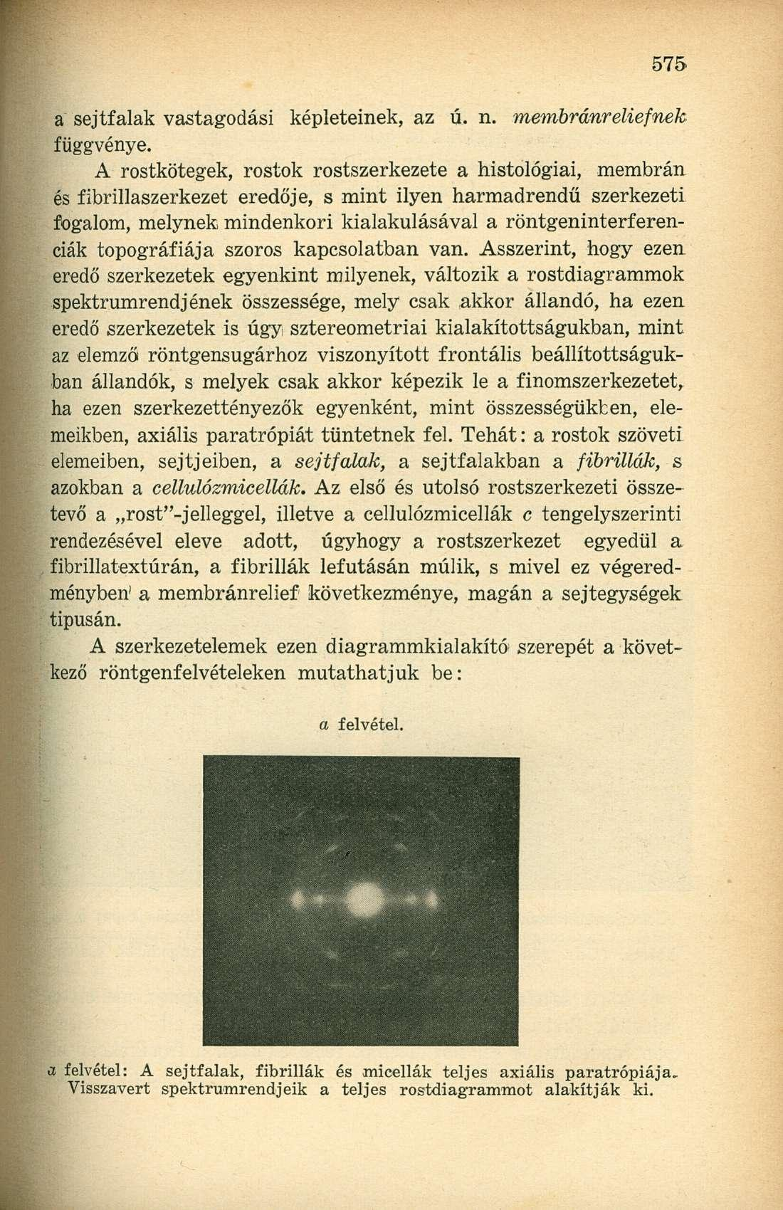 a sejtfalak vastagodási képleteinek, az ú. n. membránreliefnek függvénye.