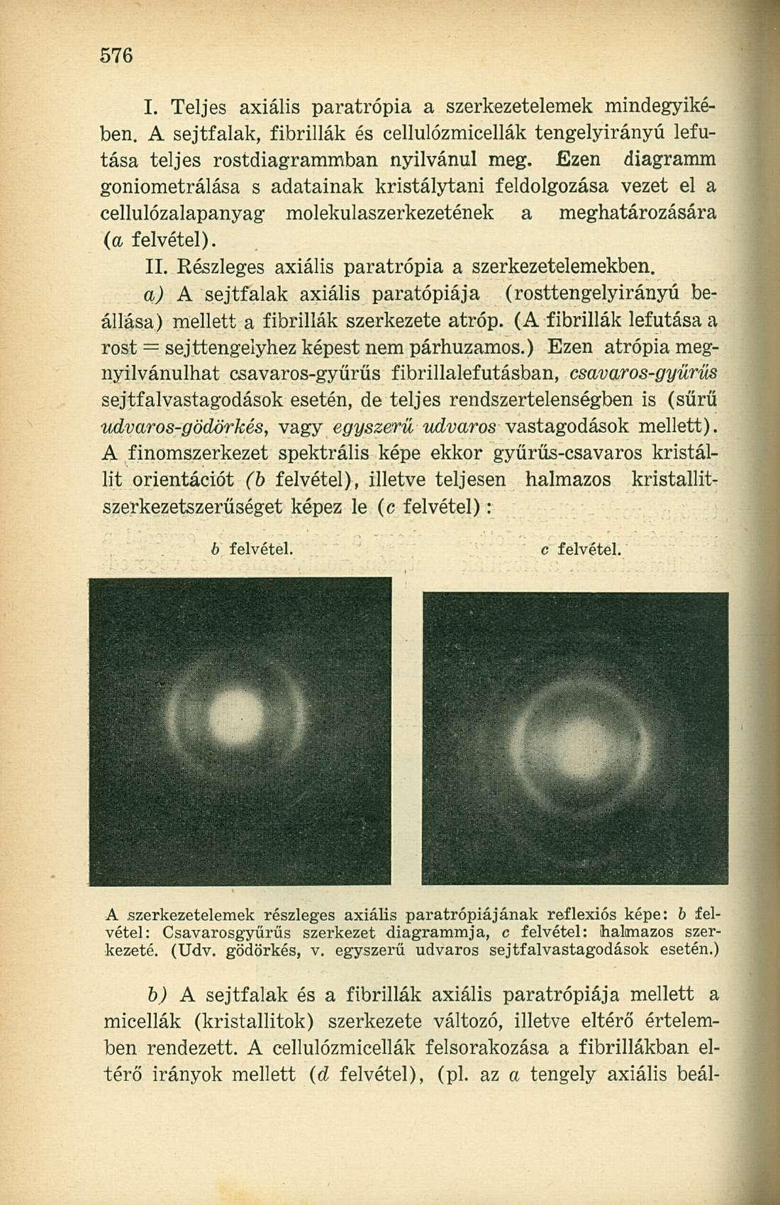 I. Teljes axiális paratrópia a szerkezetelemek mindegyikében. A sejtfalak, fibrillák és cellulózmicellák tengelyirányú lefutása teljes rostdiagrammban nyilvánul meg.