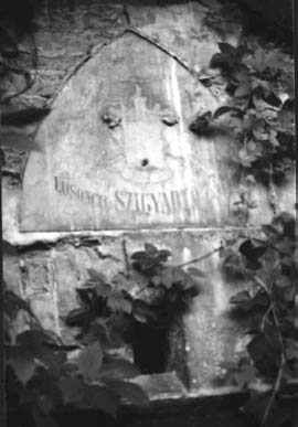 ényképmelléklet 249 A