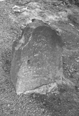 ényképmelléklet 285