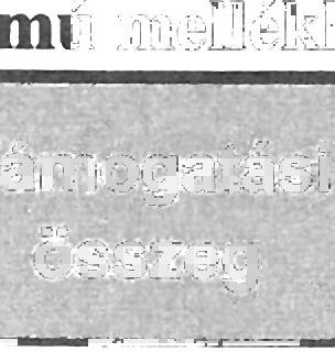 2014. évi támogatások az Ifjúsági feladatok előirányzat terhére Ifjúsági feladatok előirányzat: 3.000.000,- Ft ;1< ~ ~. Ssz. felhasználás Bizottsági határozat 2. számú melléklet Támogatási összeg 1.