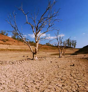A talajok és a klímaváltozás: csökken a talajnedvesség, az altalajvíz szintje egyre mélyebbre süllyed.