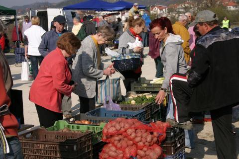 önkormányzat, intézmény,