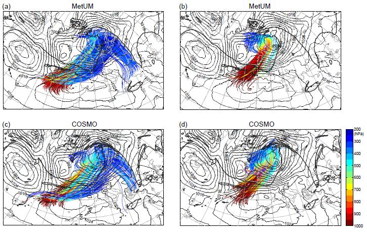 5. ábra: Az MNSZ trajektóriái a MetUM és a COSMO modell alapján (forrás: Martínez- Alvarado et al., 2013). Az 5. ábra a meleg nedves szállítószalag trajektóriáit mutatja a nyomás szerint kiszínezve.