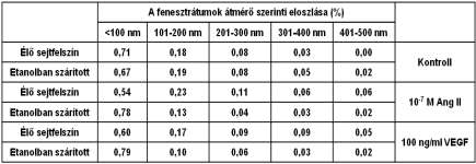 Specifikus receptor blokkolók felhasználásával megvizsgáltuk az AT 1 illetve a VEGFR-2 receptorok szerepét a fenesztráció kialakulásában.