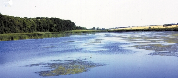 LANSZKI J.