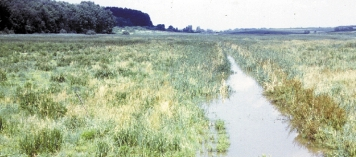 TÁPLÁLKOZÁS-ÖKOLÓGIÁJA 15 2.