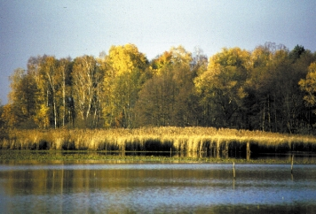 16 NATURA SOMOGYIENSIS 5.