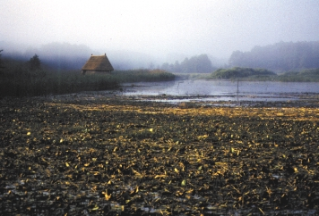 LANSZKI J.