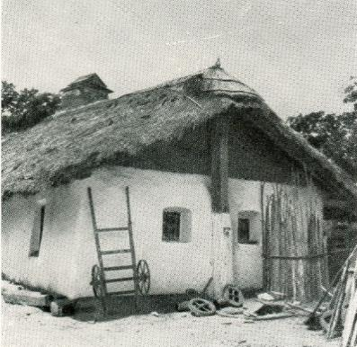 SZELEMENES FEDÉLSZÉK vs.