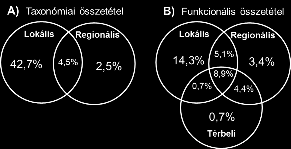 mint a funkcionális (14,3 %) összetétel esetén (16. ábra).