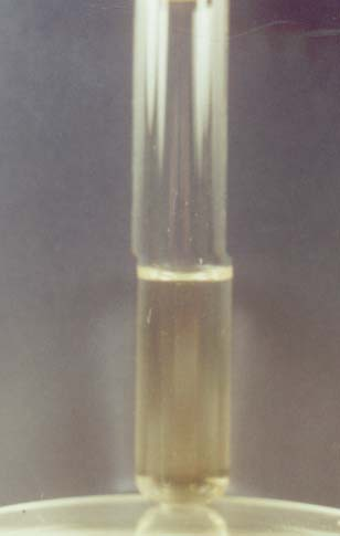 21. Leptospira on Korthof medium Leptospira Korthoff táptalajon A táptalaj peptont, sókat, valamint 10% nyúlsavót tartalmaz.