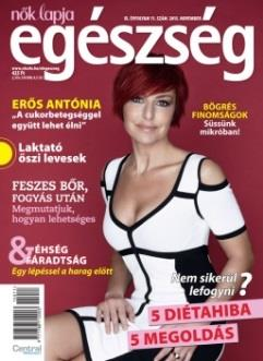 kapcsolódó tartalmak.