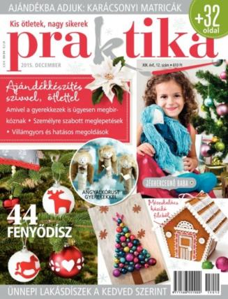 hirdetőknek kapcsolódási lehetőséget. Megjelenés: kéthavonta Pld.