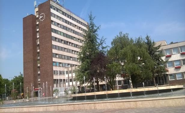 AZ ELLENŐRZÉS TERÜLETE Dunaújváros Megyei Jogú Város Önkormányzata, a DVG Dunaújvárosi Vagyonkezelő Zrt.