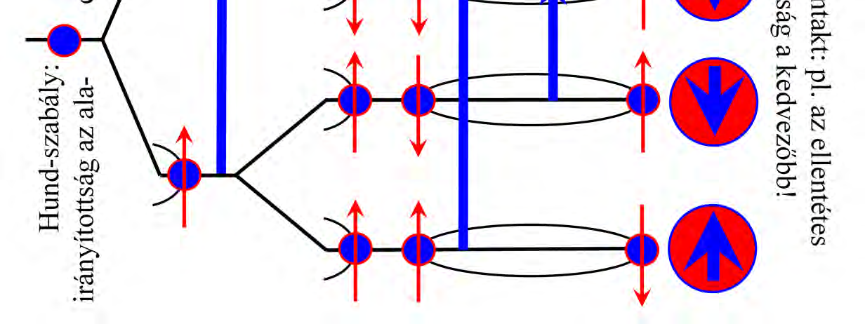 A molekulában lévő mag mágneses vektorának a tér irányára eső vetülete is hasonlóan lehet párhuzamos és ellentétes irányítottságú.
