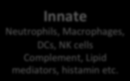 The incoming signals are processed by different levels of the immune system.