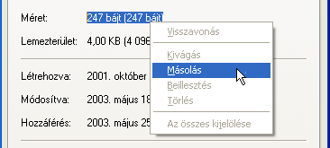 Kattintsunk a TÍPUS feliratú rovatfej gombra! Így a fájlok típusuk szerint lesznek sorba rendezve. Az ilyen rendezettség megkönnyíti az azonos típusú fájlok megkeresését! Keressük meg a SYSTEM.