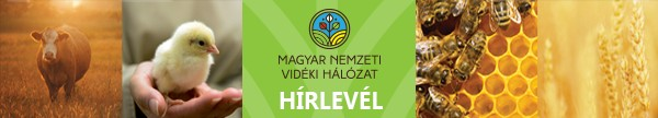 2016. július Tisztelt Partnerünk!
